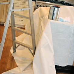 ladder on leak-resistant, double guard drop cloth