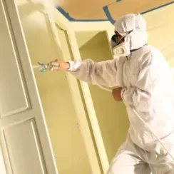 painting in a spray suit